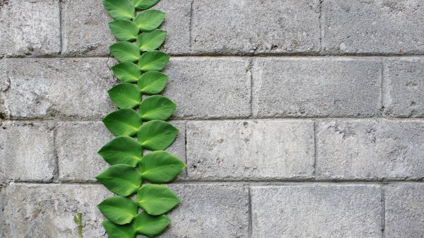 Brick Concrete Service
